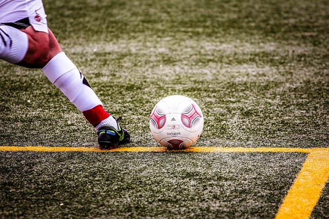 他们将如何 他们将如何